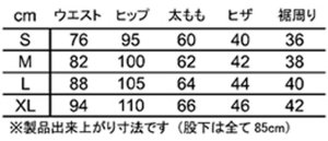 画像3: 【送料無料★デグナー認定WEB正規代理店】デグナー(DEGNER)★メンズカップ付レザーパンツ MEN'S LEATHER PANTS WITH CUP(ブラック)