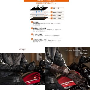 画像3: 【送料無料・デグナーWEB正規代理店】デグナー(DEGNER)★ ウィンタースポーツグローブ WINTER SPORTS GLOVE 牛革 WG-46