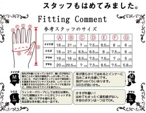 画像3: 【営業日12時までのご注文で即日発送★送料無料・デグナーWEB正規代理店】デグナー(DEGNER)★ウィンターグローブ/WINTER GLOVE [WG-12]