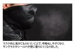 画像5: 【送料無料★デグナー認定WEB正規代理店】デグナー (DEGNER) ★ CP-12A レザーマスク 羊革×フリース ブラック