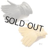 画像: 【送料無料★デグナー認定WEB正規代理店】デグナー (DEGNER) ★ウィンターグローブ/WINTER GLOVE