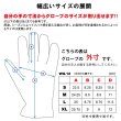 画像4: 【営業日12時までのご注文で即日発送★送料無料・デグナーWEB正規代理店】デグナー(DEGNER)★ウィンターグローブ/WINTER GLOVE [WG-12]