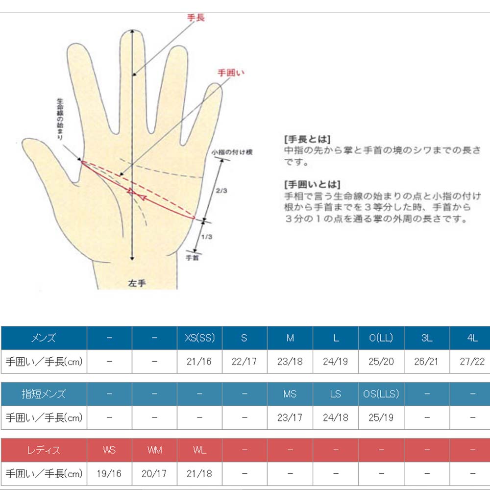 画像4: 【送料無料】レイト商会★JRP×REIT 3シーズン プレミアムグローブ